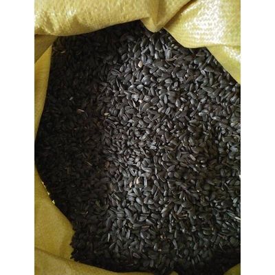 生黑珍珠小瓜子葵花子油葵籽鹦鹉鸟食仓鼠零食鸟粮鸽粮5斤包邮 虎窝淘