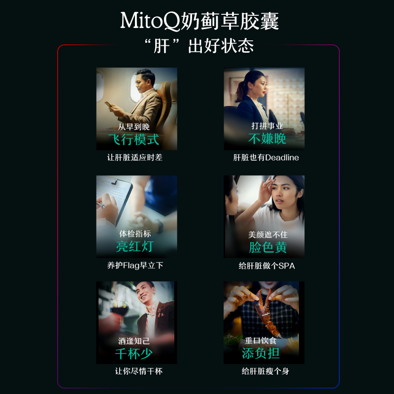 mitoq奶蓟草加班熬夜常备辅酶胶囊 MITOQ海外蓟类
