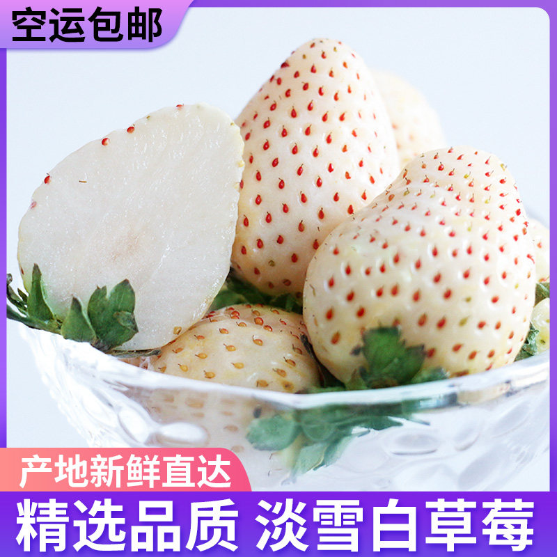 【团长专享】淡雪白色恋人雪宝白草莓1/2斤新鲜丹东草莓白雪公主,淘宝优惠券,粉丝福利购,淘宝优惠卷
