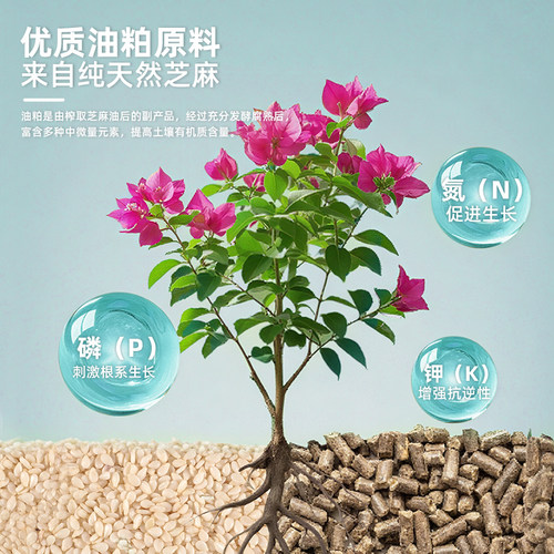 CPAI芝麻饼肥料花卉盆栽通用饼肥发酵腐熟有机肥盆栽花卉专用肥料 - 图0