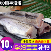 Minta fish fresh frozen Headless cod 10 catfish Deep-sea Narrow Cod Fish Fish Whole Stick Fish Baby Cote