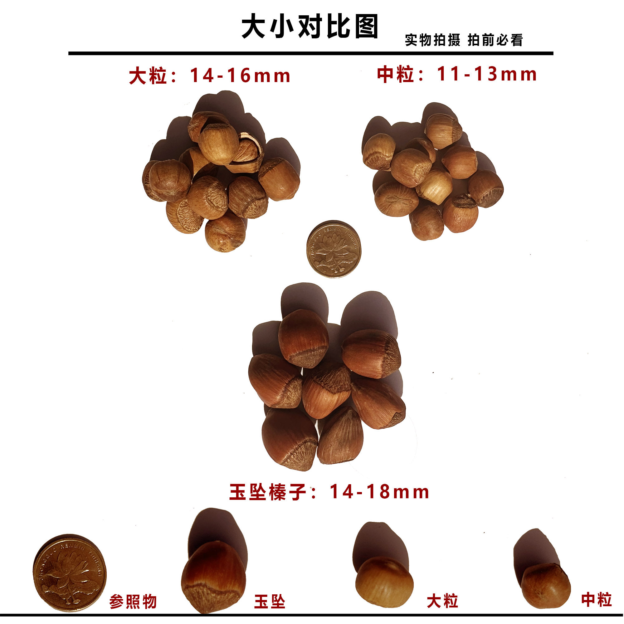 木乃壳东北小新鲜榛果特产原味臻子 木乃壳榛子