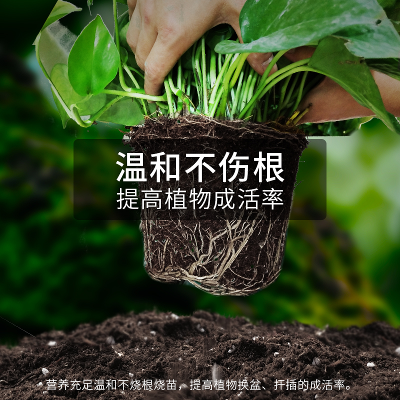 阳台种菜专用土营养土通用型种植花土非黑土蔬菜有机肥料种菜土壤-图1