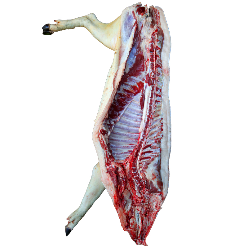 土猪肉农家猪肉前后猪腿肉五花肉猪排骨散养笨猪肉藏香猪肉土山猪 - 图3