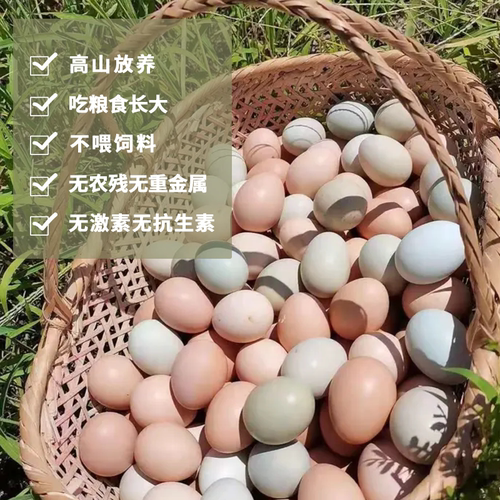 怡博士新鲜土鸡蛋正宗农家散养新鲜鸡蛋柴鸡蛋草鸡蛋笨鸡蛋乌鸡蛋-图2