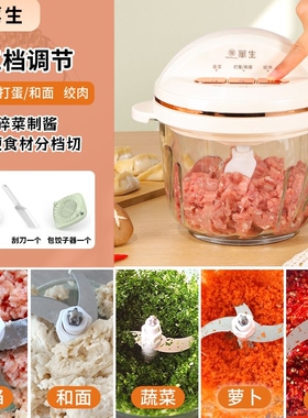 华生绞肉机家用3L升搅肉机多功能