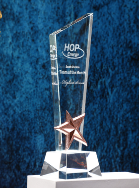 创意金属水晶定制奖杯奖牌活动比赛颁奖金银铜五角星定做冠亚季