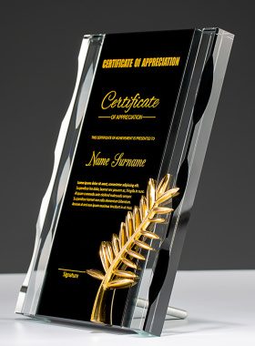 棕榈奖水晶奖杯定制授权牌荣誉牌匾加盟牌经销商奖牌定制定做