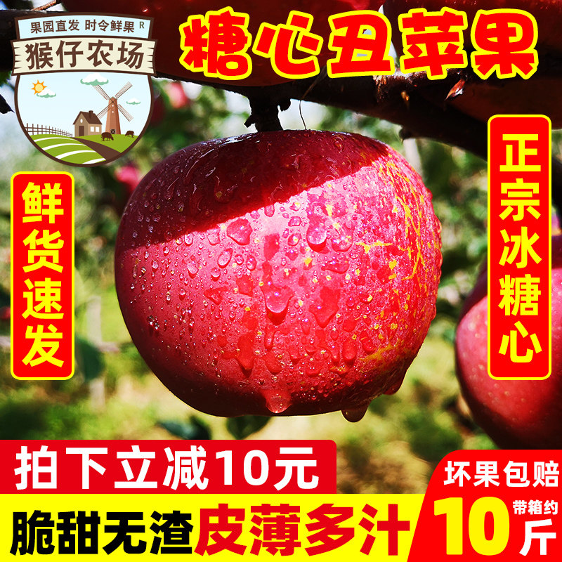 凉山州盐源冰糖心丑苹果新鲜当季水果5斤当季丑苹果红富士