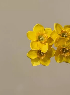 明媚黄色双生花朵发夹春夏氛围感
