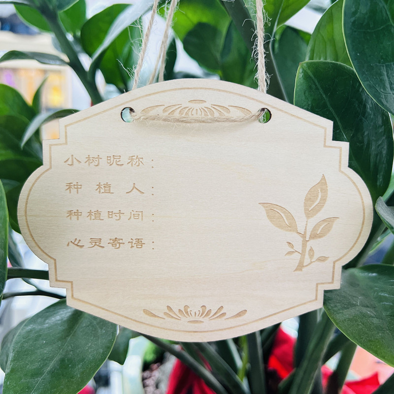 单位学校幼儿园植树节活动认养牌树挂牌树木认领牌果树吊牌定制 - 图1