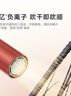 追觅旅行卷发吹风机官方店