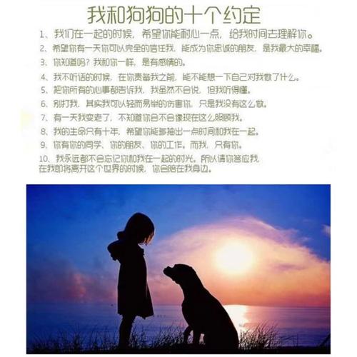 纯种拉布拉多幼犬奶白色黑色拉布拉多导盲犬神犬小七活体宠物狗狗