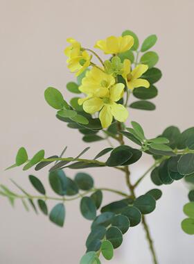 金合欢人造花假花装饰高雅的绿叶植物客厅餐桌无障碍豪华装饰桌面