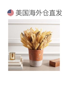 自营safavieh人造 14 英寸麦穗盆栽 Arg. - 多色 美国奥莱直发