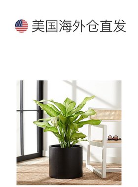 自营 safavieh巴西伦花盆 - 黑色 美国奥莱直发