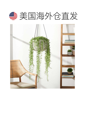 自营safaviehRancer 花盆 - 浅灰色 美国奥莱直发