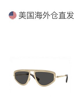自营Burberry Sunglasses Geometric Full Rim, Light Gold Frame