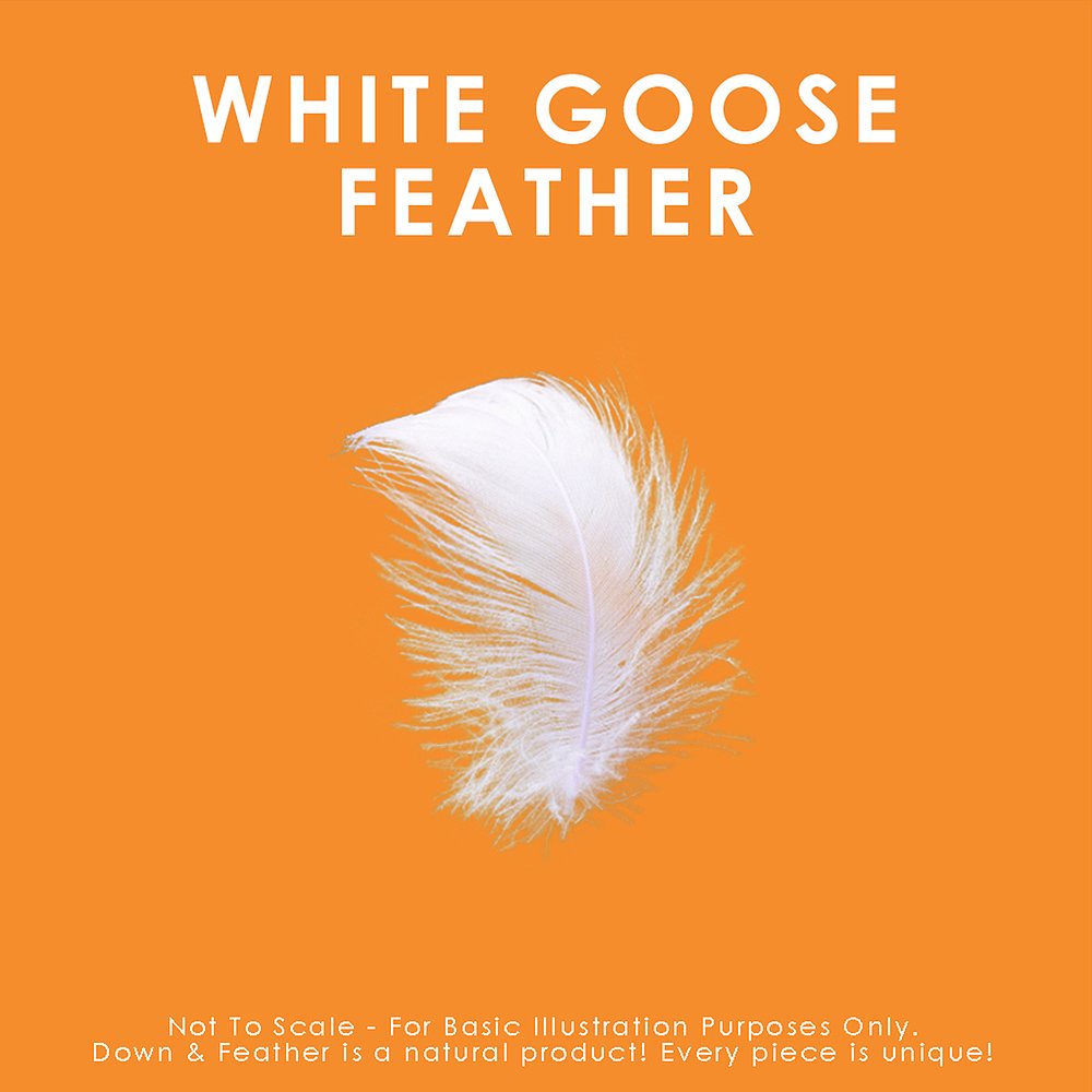 canadian down & feather companyWhite Goose Feather Pillow So - 图2