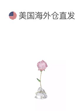 1h可退 【美国直邮】swarovski  装饰品施华洛世奇