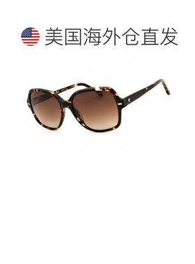 自营carrera职业3028/S 0WR9 LA棕色哈瓦那/棕色渐变极化-棕色哈