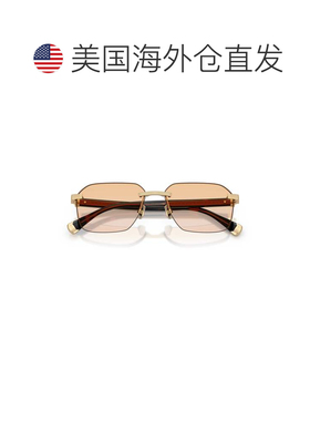 自营brunello cucinelli0bc1011t Titanium Sunglasses with Gold