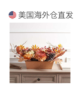 自营safaviehFx 25