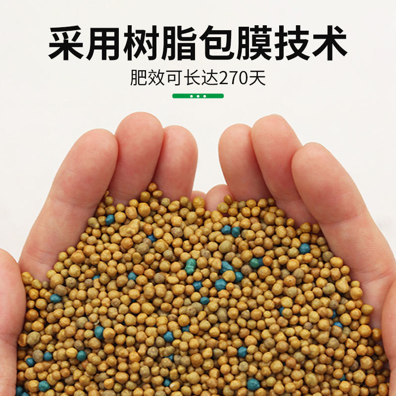 奥绿肥A2缓释肥1号通用型318s多肉植物专用肥月季专用肥盆栽花肥 - 图1