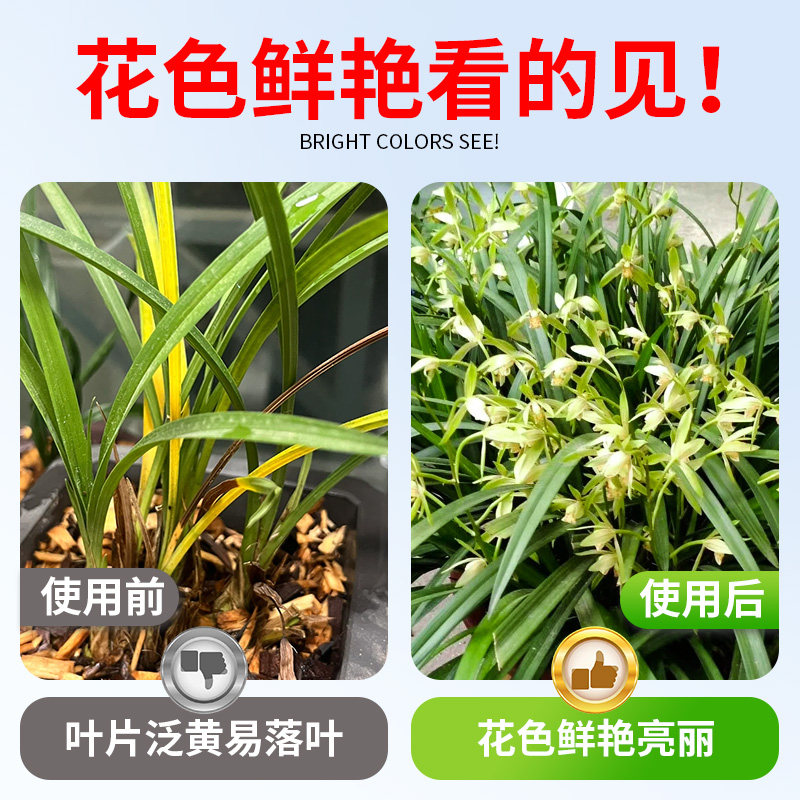 醉花兰花专用多箭素蝴蝶兰专用营养液爆芽素多箭素多箭素兰花专用,淘宝优惠券,粉丝福利购,淘宝优惠卷