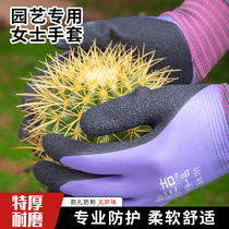 Gardening Gloves dames anti-stab et imperméable Moonlight anti-prick work Raubao résistant à labrasion rattrapage Floral Floral