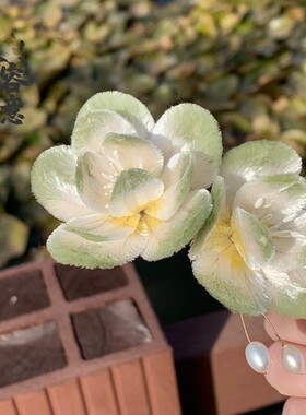 非遗绒花慕容意材料包