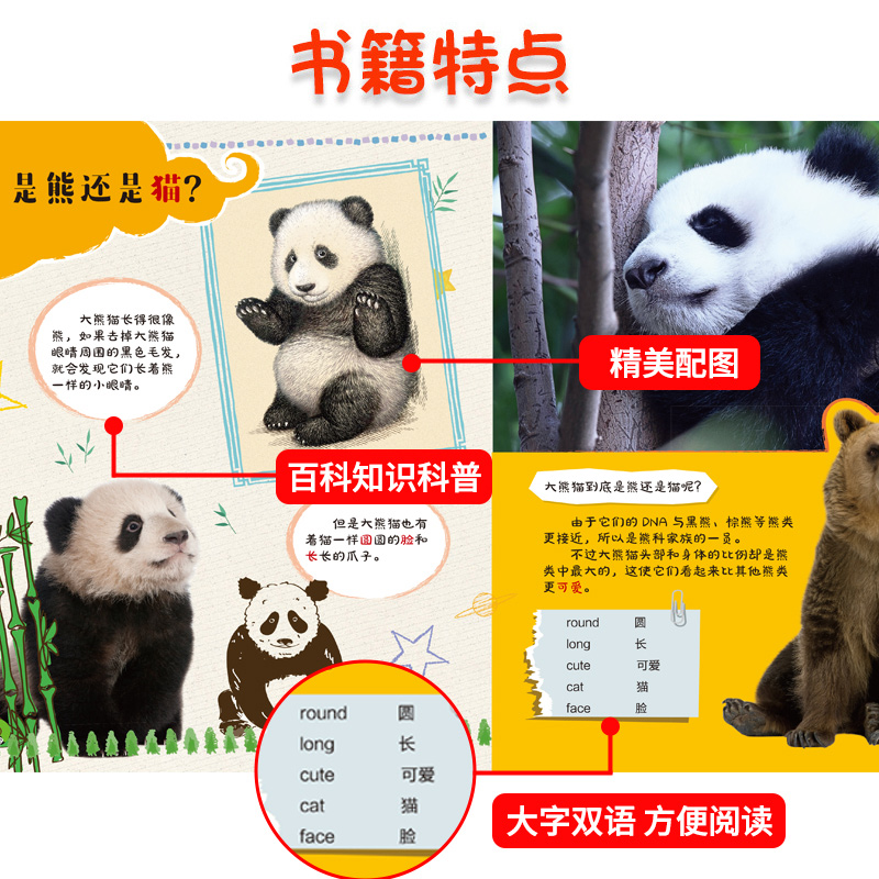 小小科学双语百科写给孩子的科普绘本书籍青少年少儿读物科学启蒙早教推荐课外阅读3-6到12岁三四五六年级阅读课外必读百科全书