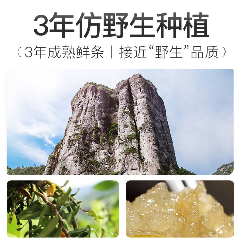 余仁生正品铁皮霍山特级新鲜石斛 余仁生海外石斛/枫斗