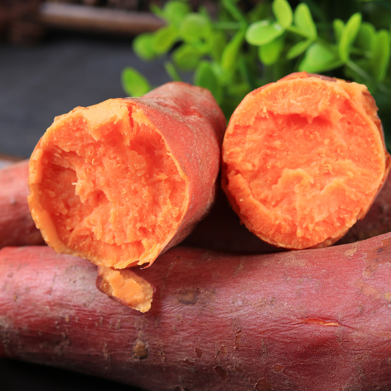 山东红心蜜薯西瓜红新鲜板栗红薯 鲜彤番薯