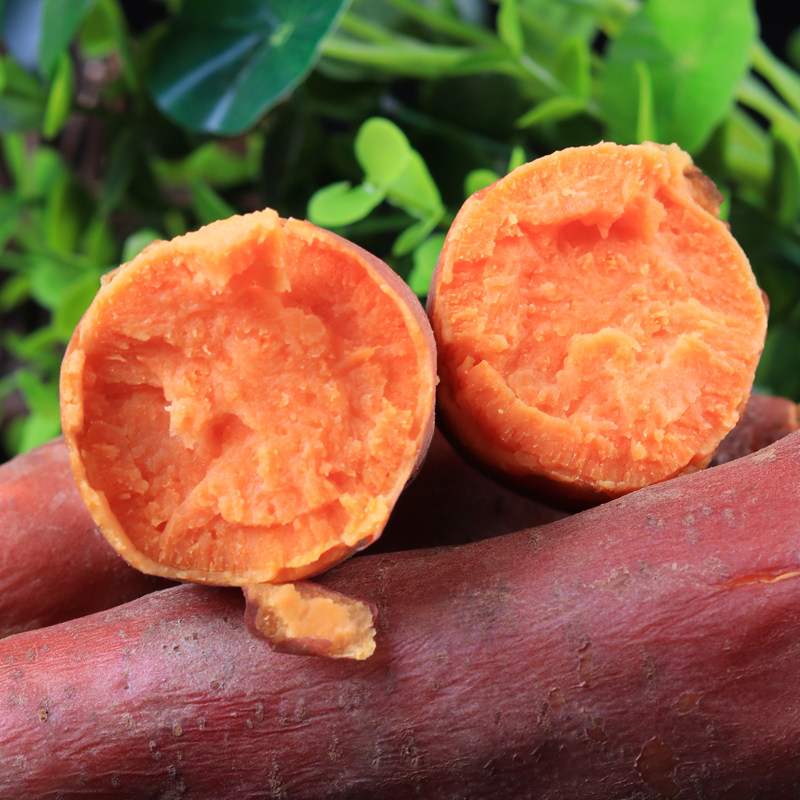 六鳌沙地红心蜜薯新鲜西瓜板栗红薯 鲜彤番薯