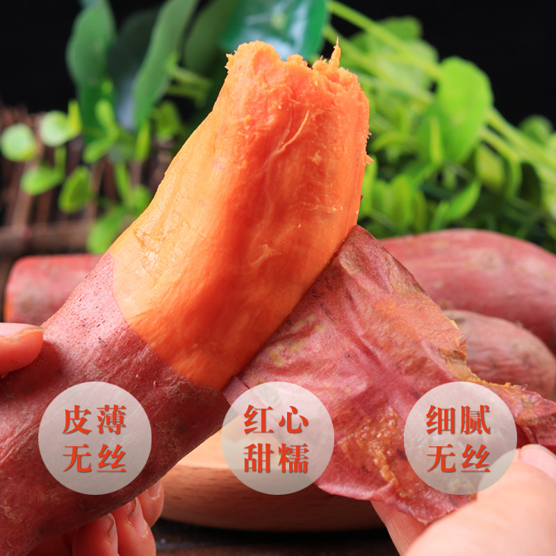 山东红心蜜薯西瓜红新鲜板栗红薯 鲜彤番薯