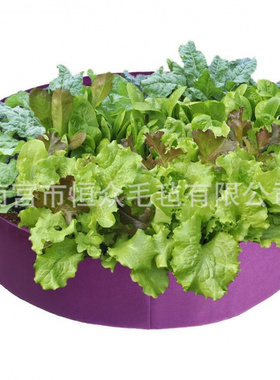 毛毡种植袋花园蔬菜育苗