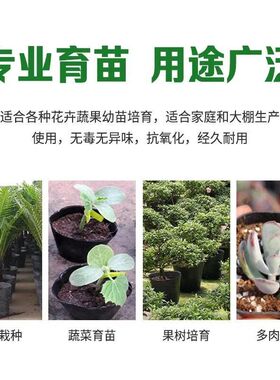 加厚营养杯大号黑色塑料育苗盆