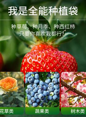 加仑花盆美植袋跨境种植袋