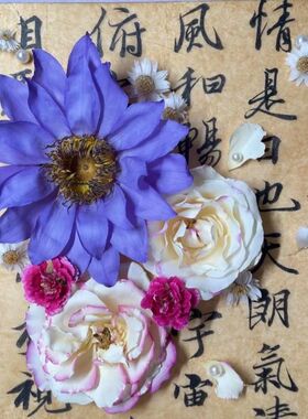 睡莲干花压花手工相框