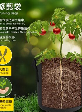 美植袋跨境无纺布种植袋