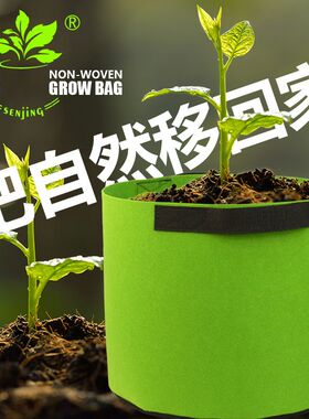 跨境美植袋控根植树袋种植袋无纺