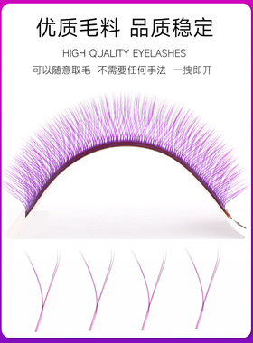 0.07Y型紫色嫁接睫毛浓密假睫毛