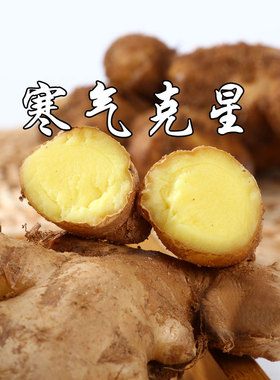 中国小黄姜精油发热身体按摩