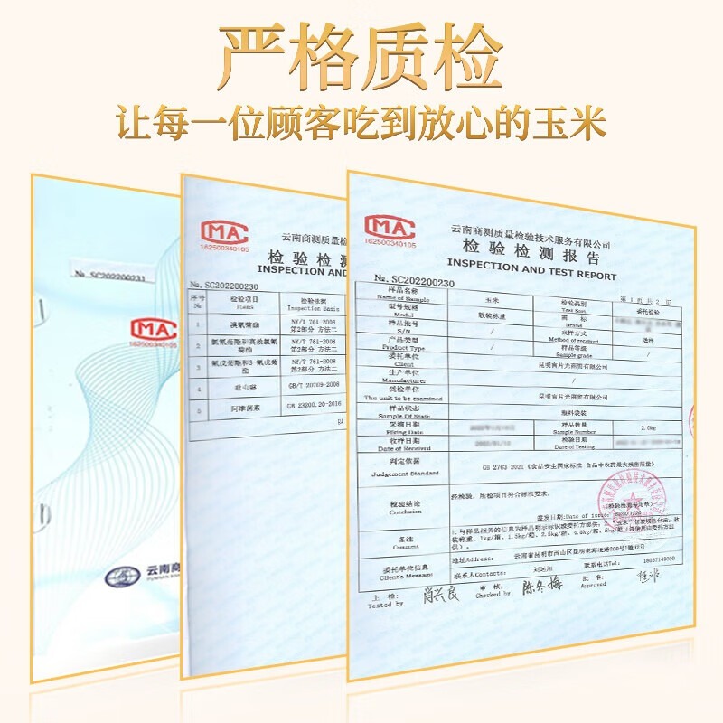 云南金银水果玉米新鲜玉米9斤甜玉米棒子糯生吃包谷蔬菜整件包邮 - 图1