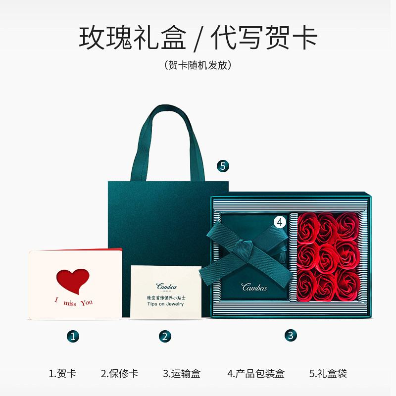 cambas刊芭思六芒星女轻奢感锁骨链 cambas饰品项链