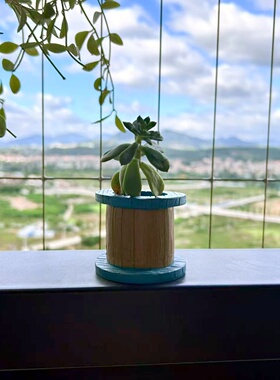 创意仿真汽车花盆摆件
