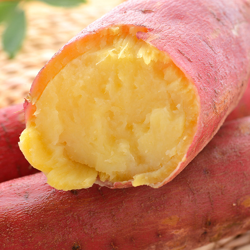 现发沙地新鲜农家自种甜地瓜板栗 怡萱水果番薯