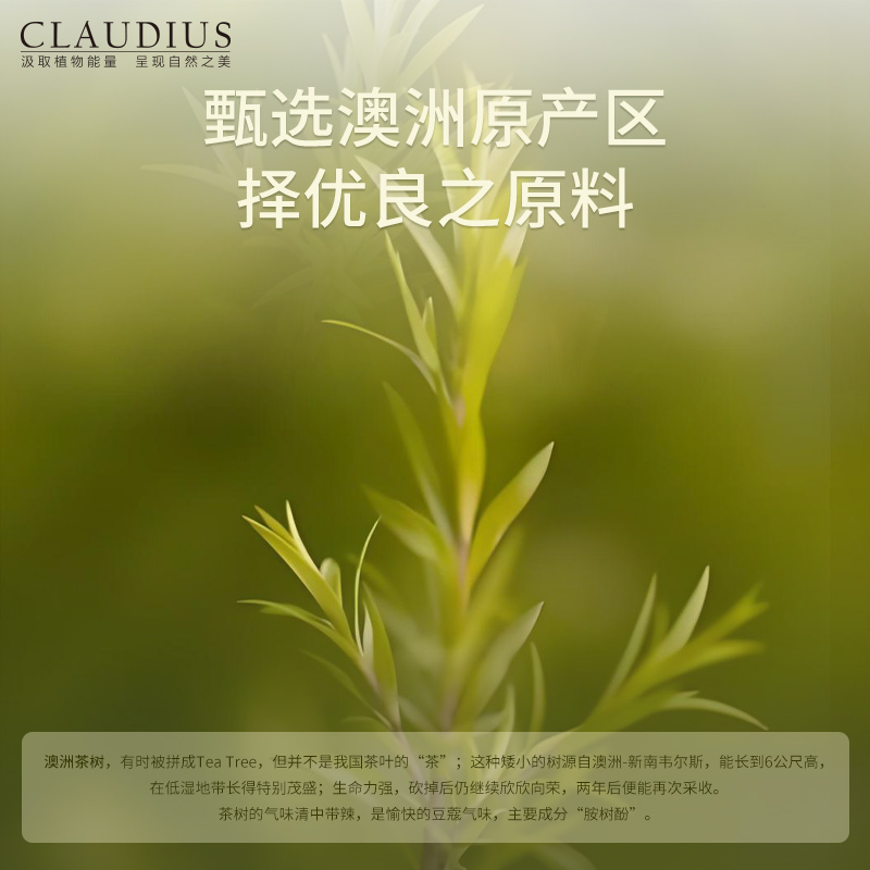 CLAUDIUS珂洛帝斯澳洲茶树精油单方植物精油面部控油痘印按摩香薰