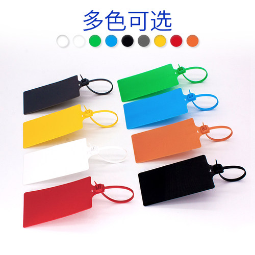 塑料封条防盗扎带 物流挂签货物标识牌 一次性防调包扣施封锁铅封 - 图0